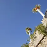 لا فلوريديانا