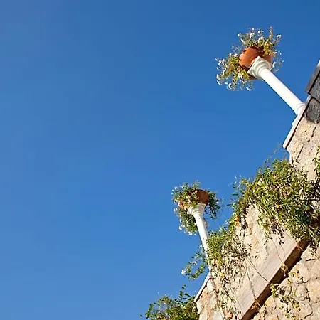 فندق لا فلوريديانا