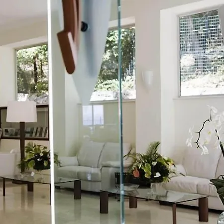 拉佛洛里迪安娜酒店 酒店 4*