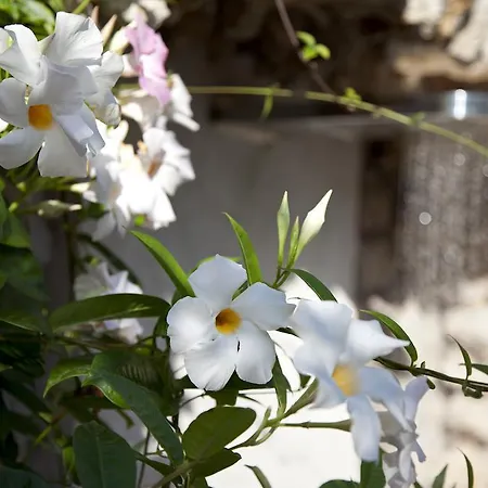 La Floridiana מלון 4*