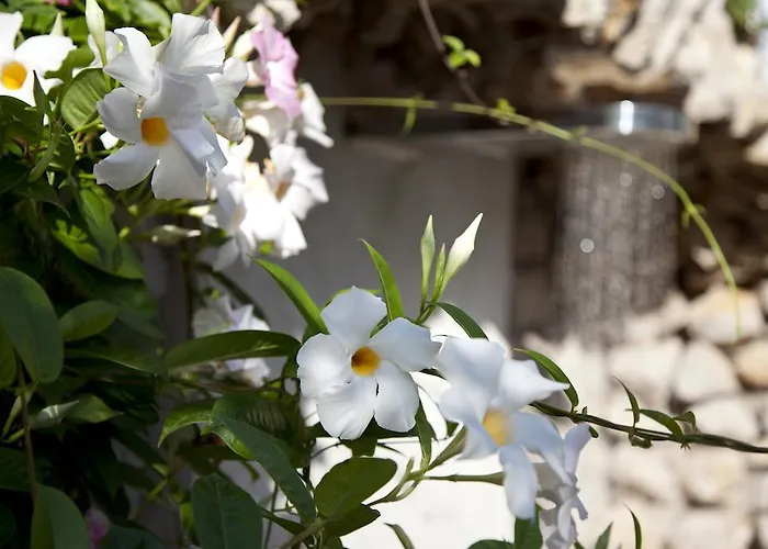 La Floridiana מלון 4*